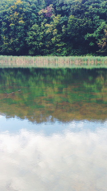 Wallpaper 6: Pond reflections in Molfsee, Schleswig-Holstein, Germany.